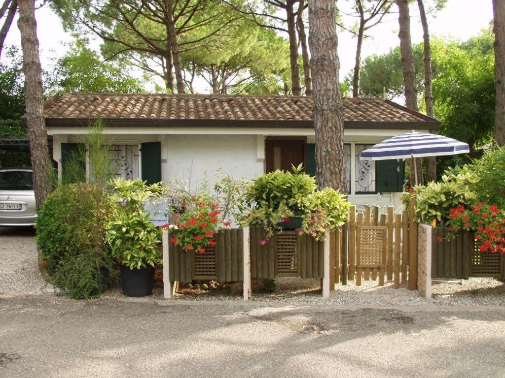 Villaggio Azzurro 리도 디 예솔로 외부 사진